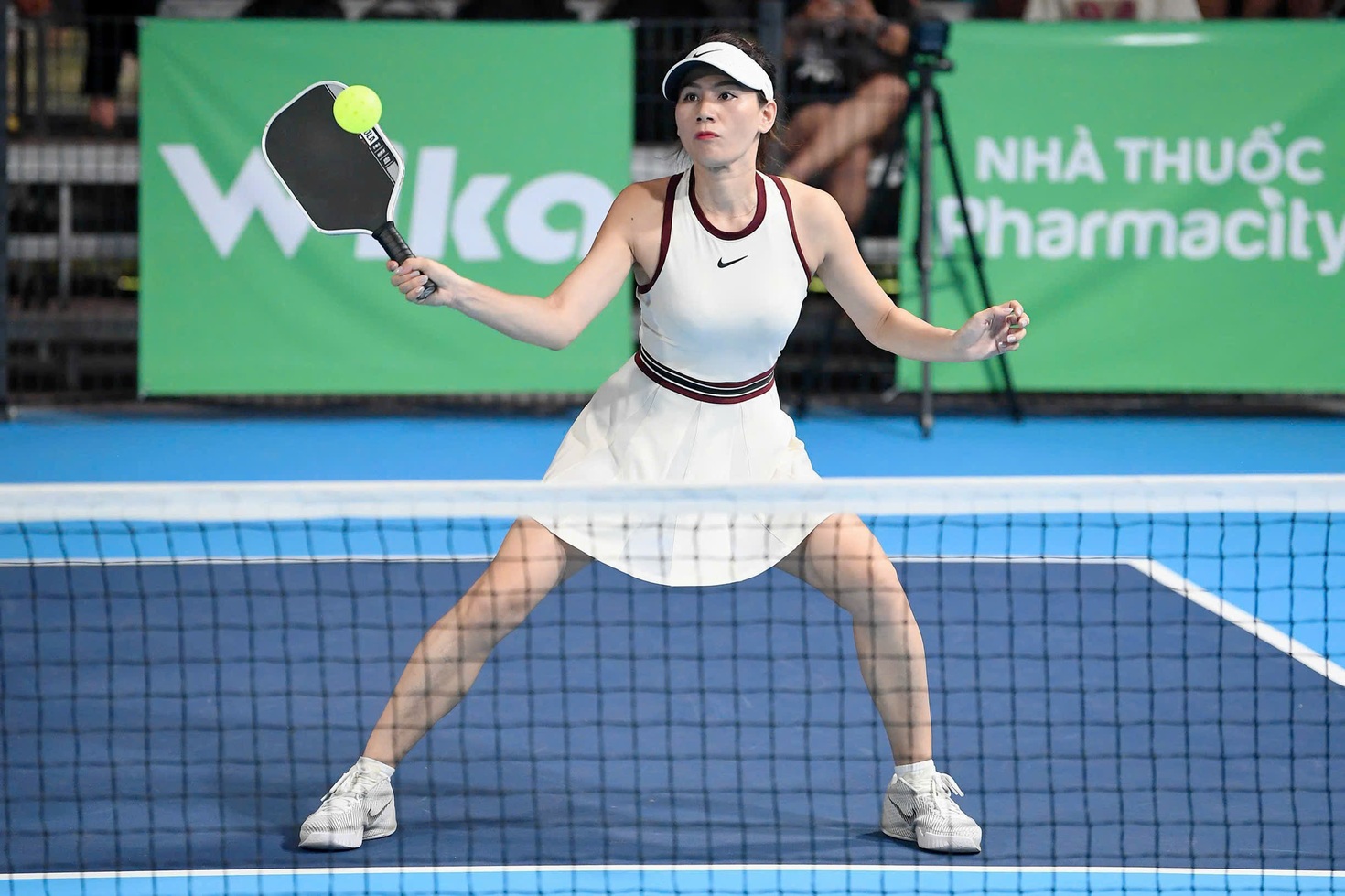 Ảnh minh họa Phan Nhung