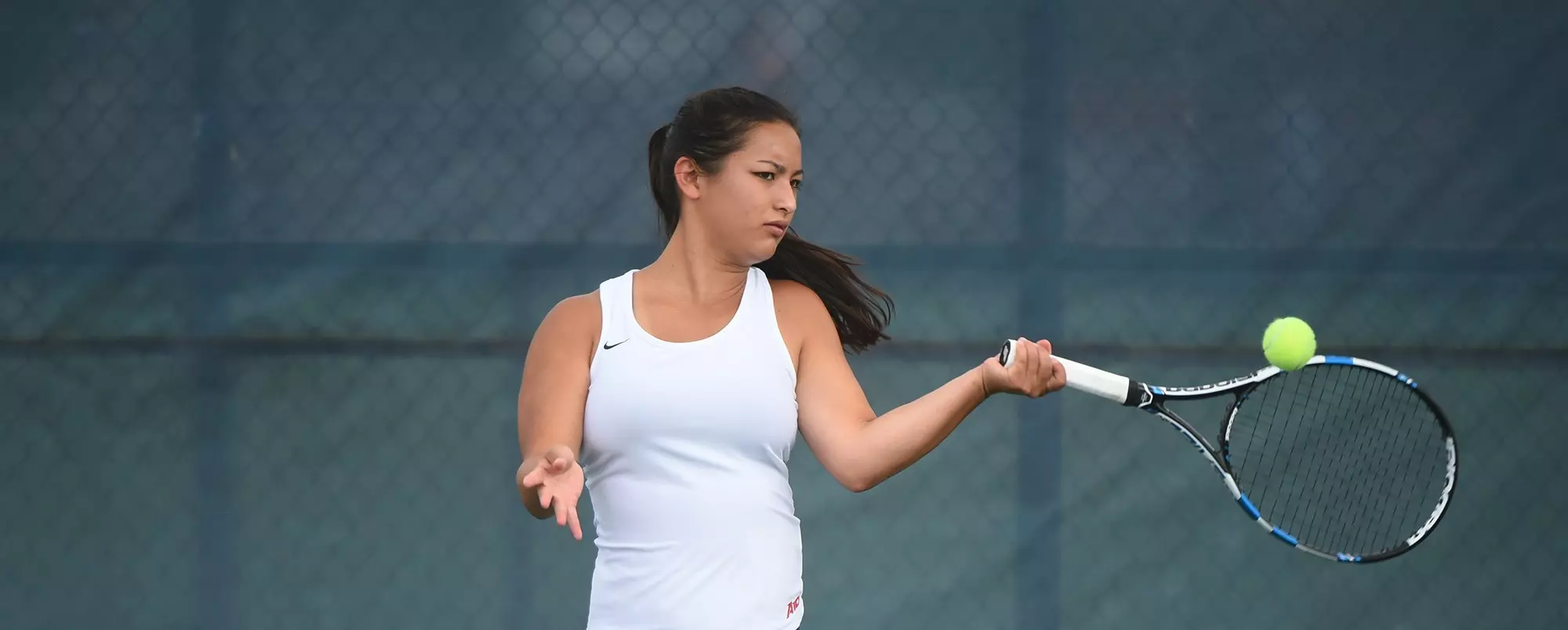 Ảnh minh họa Jade Kawamoto