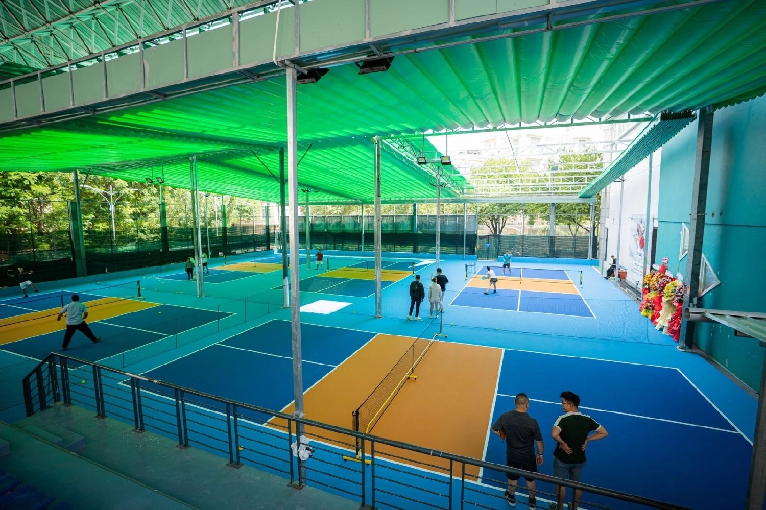 Ảnh minh họa HXH Pickleball