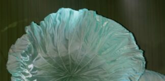 SỐC NẶNG: Hương Liên và chồng thiếu gia “đánh úp” trên sân Pickleball, cuộc sống dâu hào môn có như mơ?